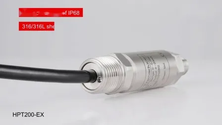 Explosion à sécurité intrinsèque IP65