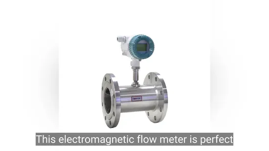 Débitmètre liquide en acier inoxydable de haute précision 4